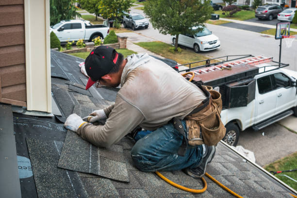 Professional Roof Replacement technician working in Piffard, NY